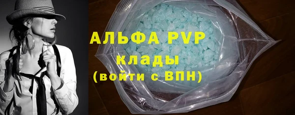 молекула духа Алексеевка