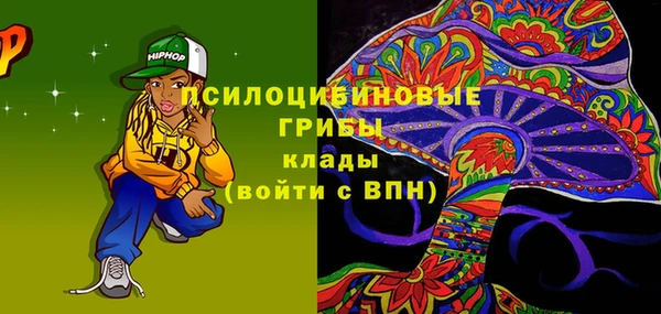 молекула духа Алексеевка