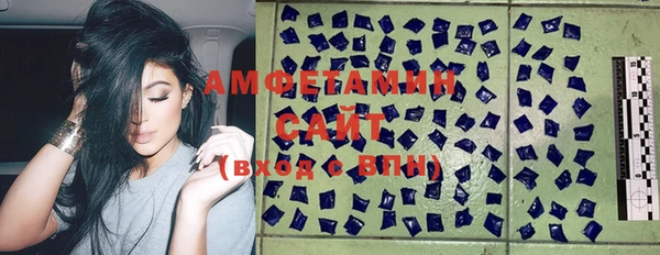 молекула духа Алексеевка