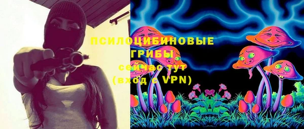 молекула духа Алексеевка